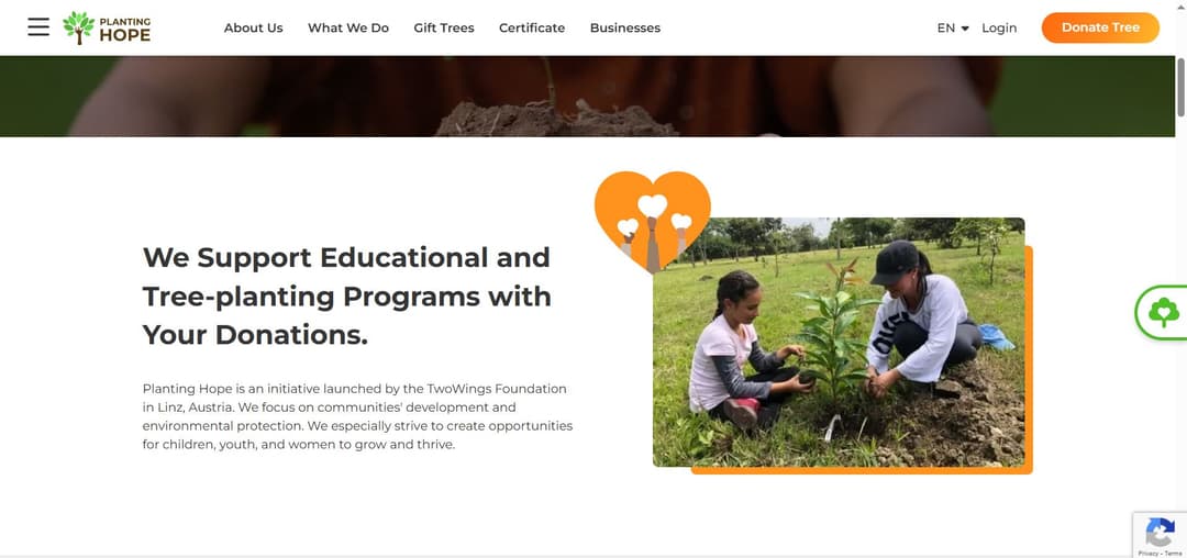 Planting Hope - Image 1